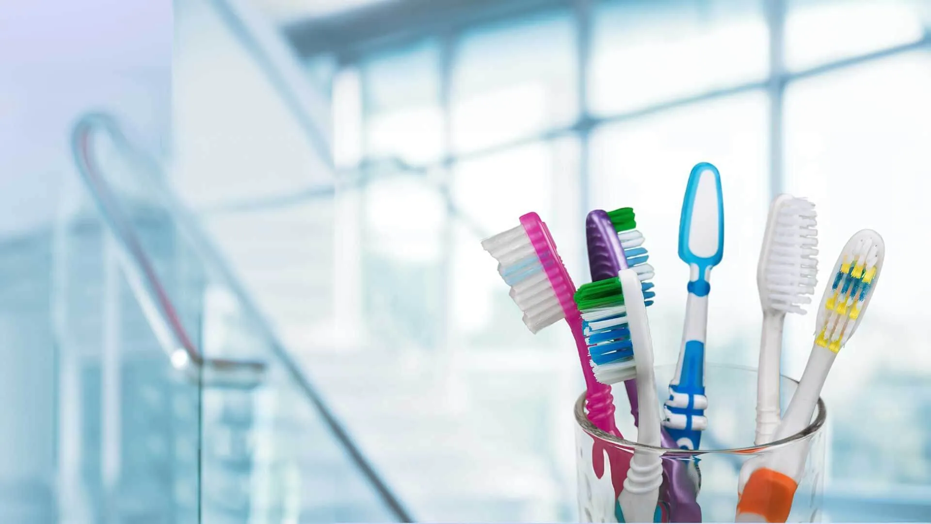 a group of toothbrushes in a holder